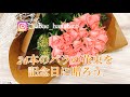 #特別な花束　『24本のバラ』を贈ろう。