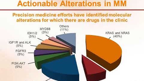 Precision Medicine for Multiple Myeloma Patients w/ Dr. Saad Usmani