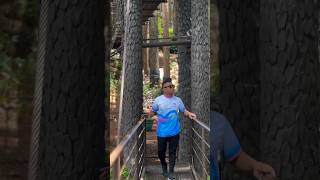 Bukidnon Dahilayan Forest