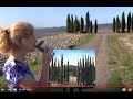 How to Paint Tuscan Cypress Trees with Acrylics | Paint and Sip at Home | Step by Step tutorial