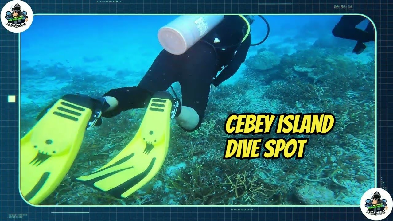 Cebey Island: The Diving Destination You Didn't Know About