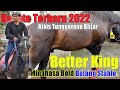 Suasana Terkini Sektor Timur Suryanata Bolang Stable &amp; Jatinom Stable || Update Terbaru 2022