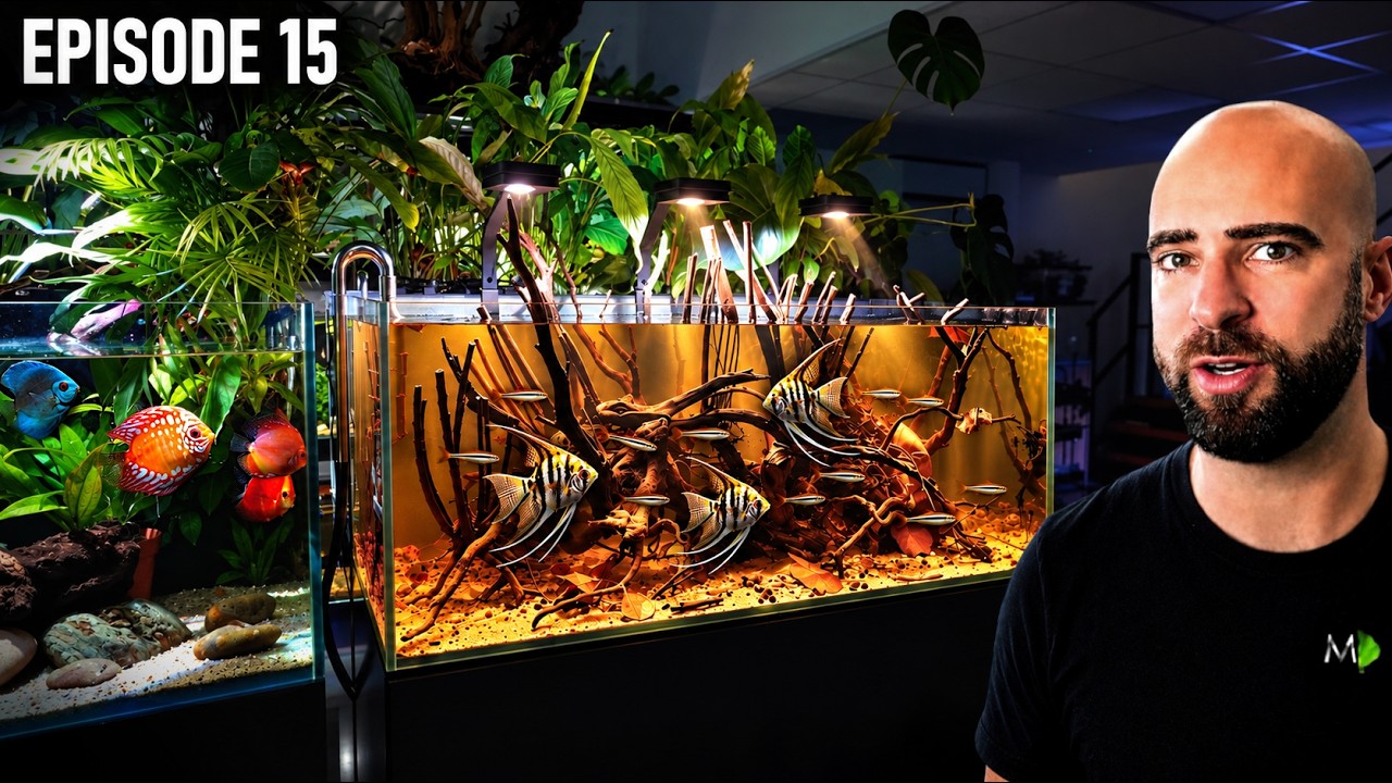 I Built My Most BEAUTIFUL Blackwater Aquarium Yet! |EP15| Warehouse To Fish Studio