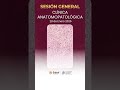 Sesión General: 𝗖𝗟Í𝗡𝗜𝗖𝗔 𝗔𝗡𝗔𝗧𝗢𝗠𝗢𝗣𝗔𝗧𝗢𝗟Ó𝗚𝗜𝗖𝗔