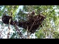 Amazing! Build Highest House On Tree And Build Water Slide  Around House On Tree -1