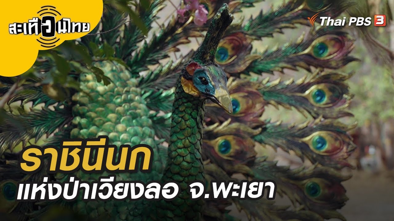 ราชินีนกแห่งป่าเวียงลอ จ.พะเยา | สะเทือนไทย