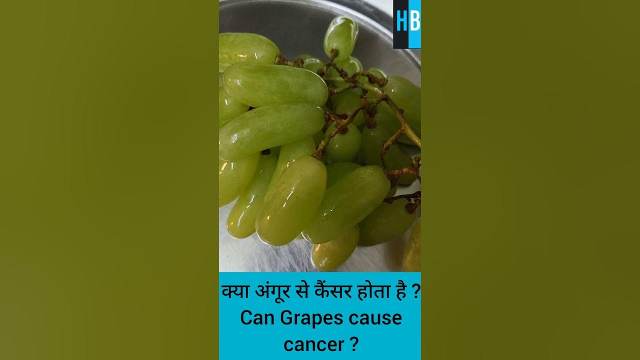 kya-angoor-se-cancer-hota-hai-can-grapes-cause-cancer-healthblog