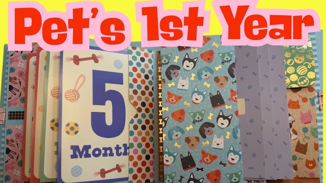 I Made a Pet’s First Year Album 🐾 | Journaling, Photo Mats & Folder Pages