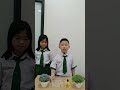 P2A Science Project about How to Change our Environment