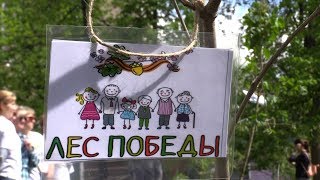 Эколого-патриотическая акция Лес Победы прошла в г.о.Лосино-Петровский