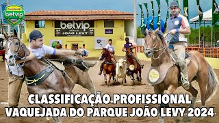 CLASSIFICAÇÃO PROFISSIONAL NA VAQUEJADA DO PARQUE JOÃO LEVY | CANAL VAQUEJADA AO VIVO |  #CBP2024