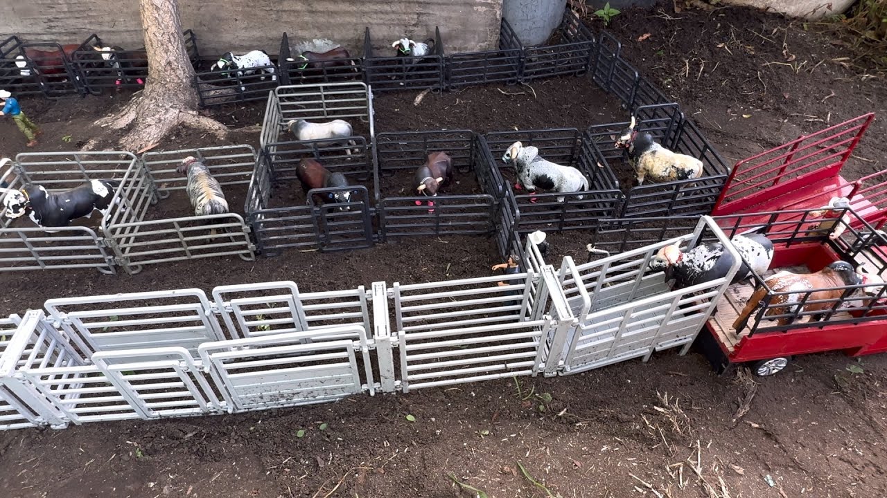 Gran venta de toros. Se van 20 trotamundos!