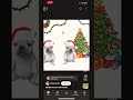 Marry ￼ Christmas￼