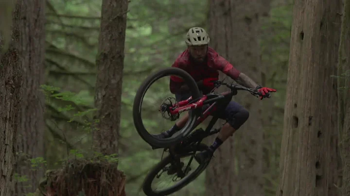 Michael Sousa's In Our Nature  - 2019 Dirt Diaries...