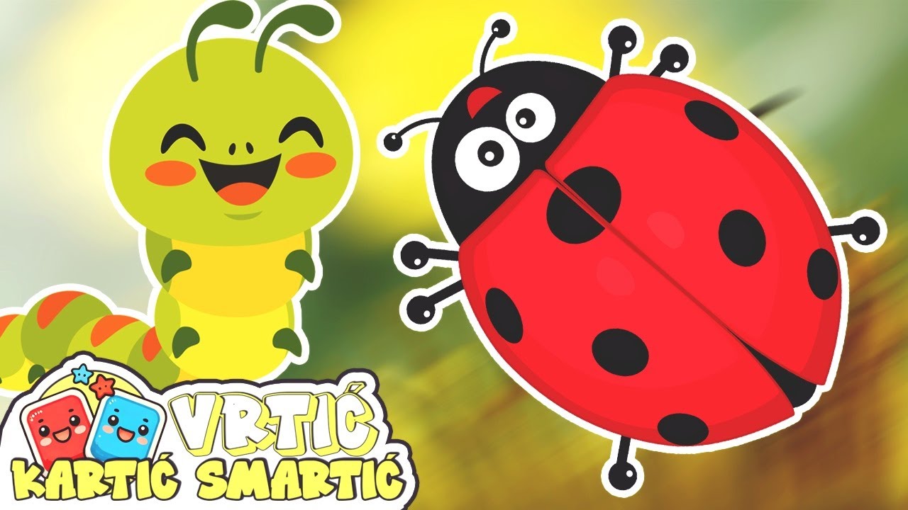 Učimo Kukce, Paukove i Puževe 👶🎴 Edukativni Video Za Malu Djecu Sa Flash Karticama