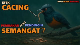 The Effect of Worms on Murai Batu: Spirit Booster or Engine Cooler?