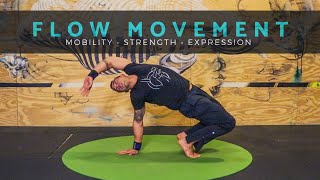 LEARN TO FLOW: Movement Class for Mobility & Strength [Yoga / Primal Movement / Animal Flow]