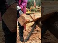 Carving the Backbone: How Traditional Carpentry Shapes Sturdy Homes