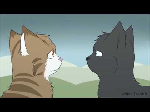 Leafpool / Warrior Cats Animash