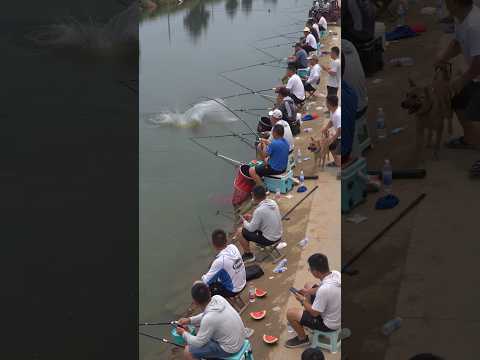 #fishing #大魚 #carpfishing #bassfishing #户外钓鱼 #钓鱼 #撈底 #fish thumbnail