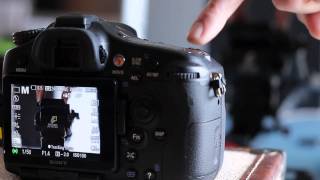 Sony A77 Automatic Focus Object Tracking