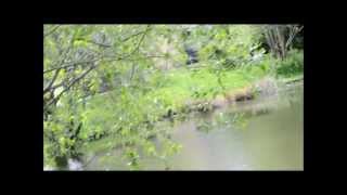 Download Lagu Fading Away Noel ~First SLR video.wmv MP3