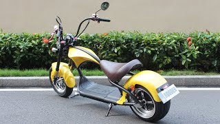 Top 5 Rooder Citycoco Electric Scooter 2019