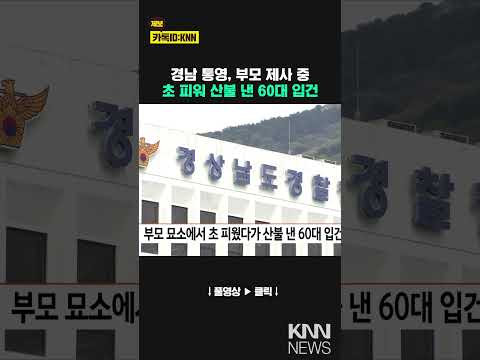 부모 묘소에서 초 피웠다가 산불 낸 60대 입건 / KNN