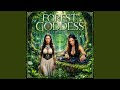 Celestial Celtic Dance