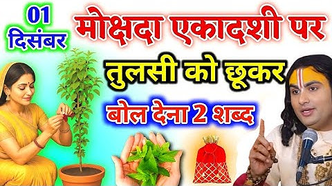 01 दिसंबर मोक्षदा एकादशी पर तुलसी को छूकर चुपचाप बोल देना 2 शब्द रातों रात बनोगे  #anirudhacharya 