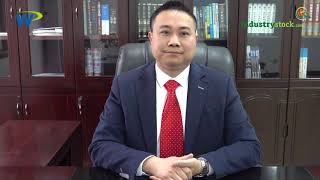 Chinese Investor Insight #02