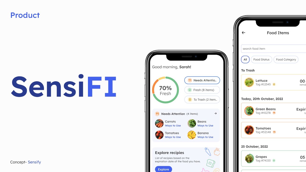 SensiFI Product Demo | Selected for HCI International 2023 Student ...