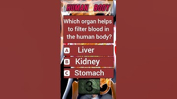 quiz challenge ⭐⭐⭐#quiz #quiztime #humanbody #anotomy #shortsfeed #shorts #science @quiz-276