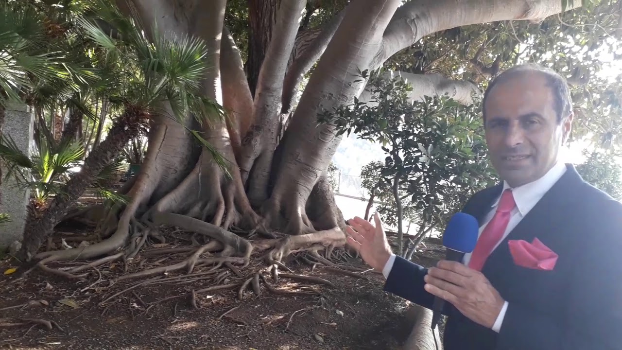 Fortunello alla villa comunale di palmi rc