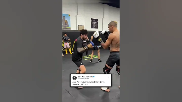 Alex Pereira training with Dillon Danis ahead of UFC 313