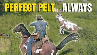4 Hunting Secrets Rockstar Never Told You | RDR2