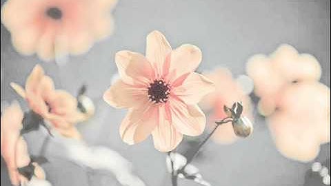 جزء تبارك   القارئ وديع اليمني HIGH