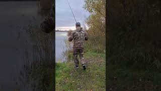 Рыбалка на поплавок 🎣👍