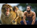 Je saute avec les macaques au maroc