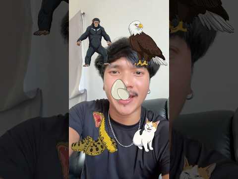 คู่กับอะไร? #ลองดู #เอฟเฟกต์ #zooanimals #ฝากติดตาม #ช่องยูทูป #พี่นนท์ #เอ็นจอยคับผม #viral thumbnail