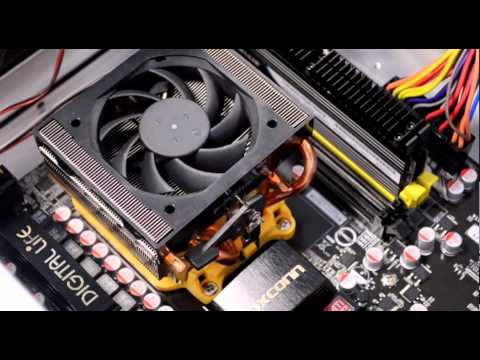 AMD