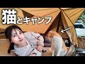キャンプで可愛すぎる猫がテントに侵入して来ました・・・