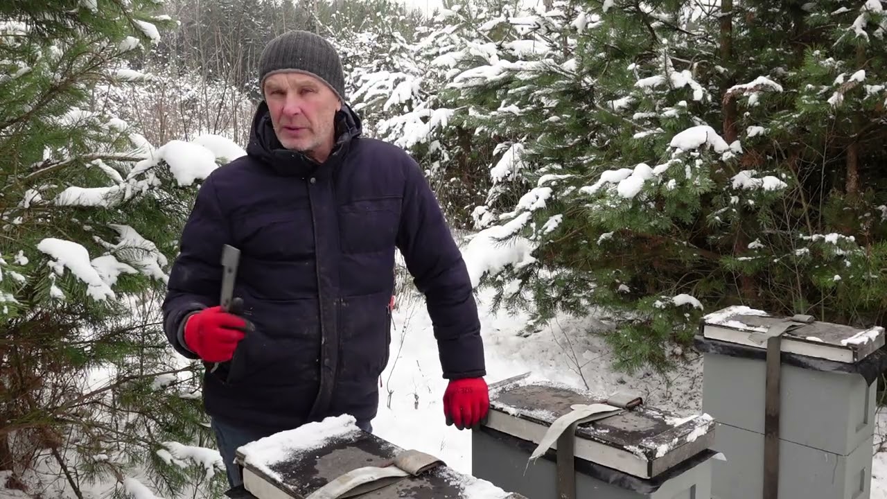 КОРОТКО О РАЗНОМ.(работа с шестирамочниками)