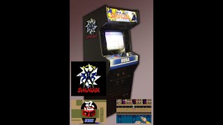 Shinobi (Arcade) - Linizio di Una Storia DAmore (Sorpresa Finale)
