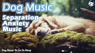 Music for Dogs with Anxiety: Dog TV! How to Relax Dog with Calming Stress Relief for Dogs