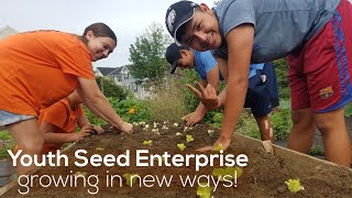 Trellis - Youth Seed Enterprise