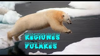 En las Regiones Polares