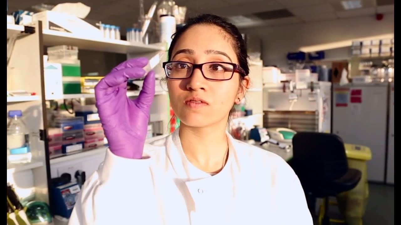 My career in genomics: cancer biology