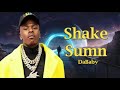 DaBaby -  Shake Sumn (Lyrics)