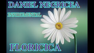 █▬█ █ ▀█▀ 2023...FLORICICA... DANIEL NEGRICEA [DOMN PROFESOR DANCIU ]